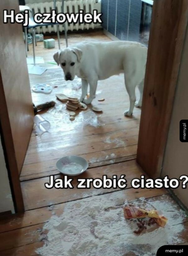 Chciałem ci zrobić