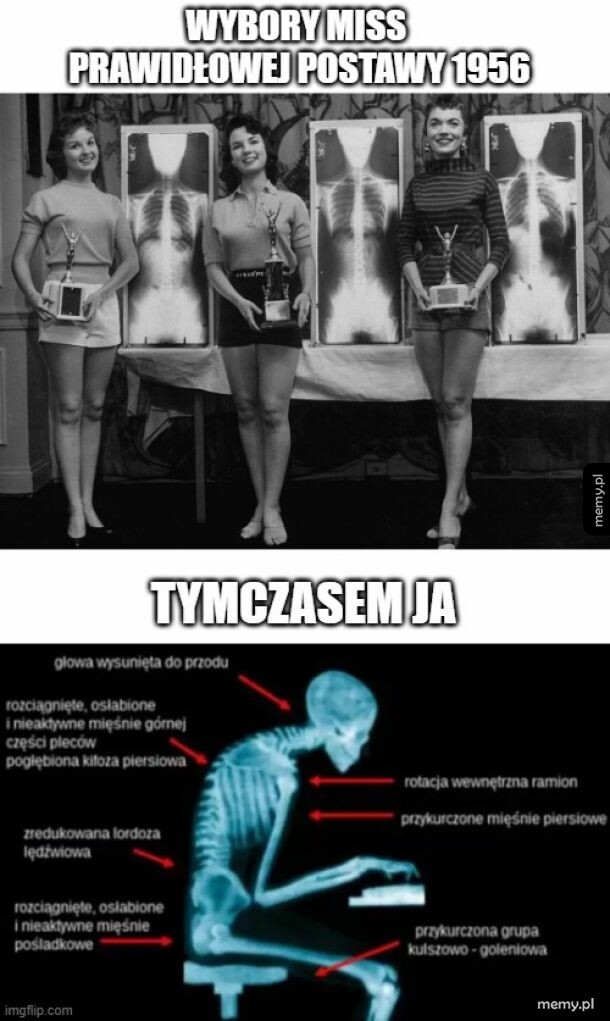 Wybory miss
