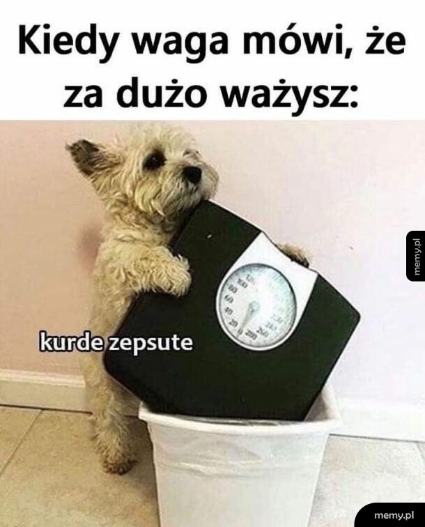 Zepsute