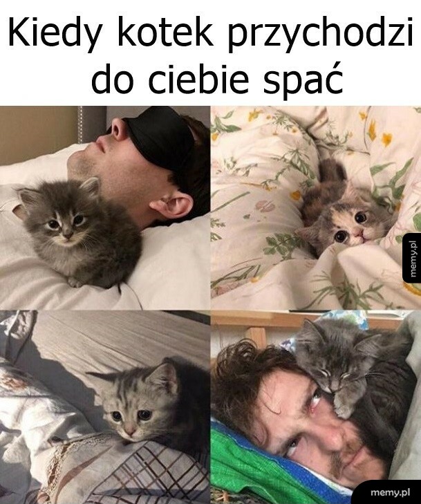 Wybraniec