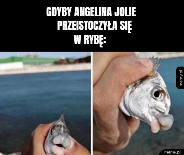 Angelina Jolie
