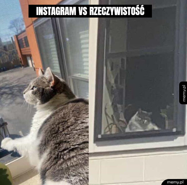 Instagram to ściema