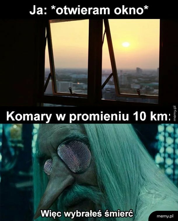 Komary