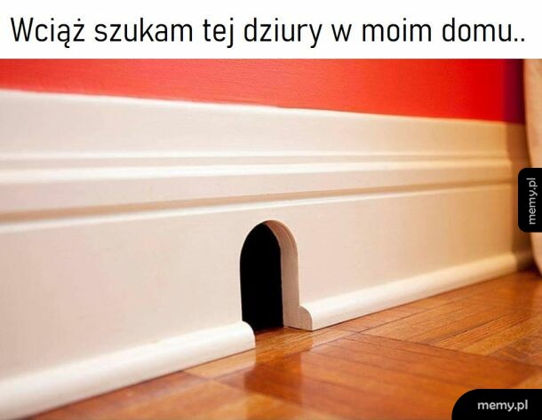 Jerry! Gdzie jesteś?!