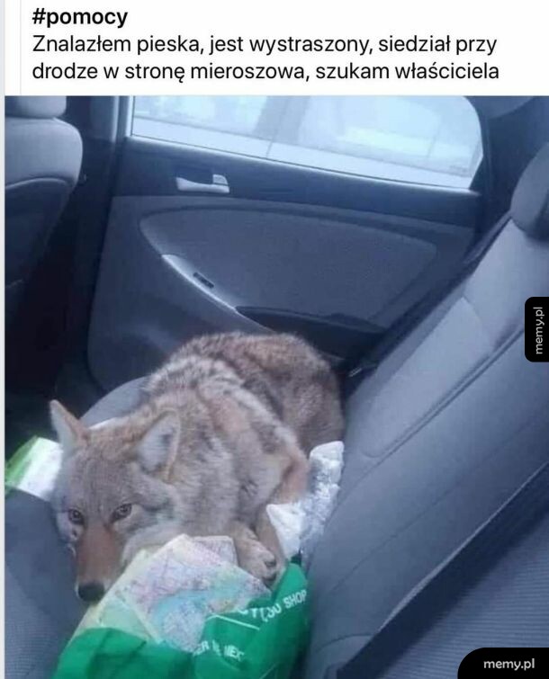Ktokolwiek widział, ktokolwiek wie