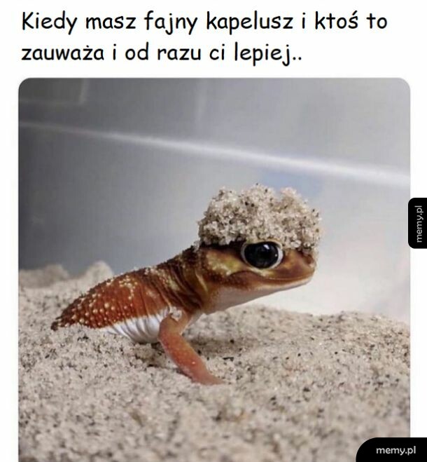 Kapelusz