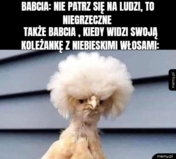 To niegrzeczne