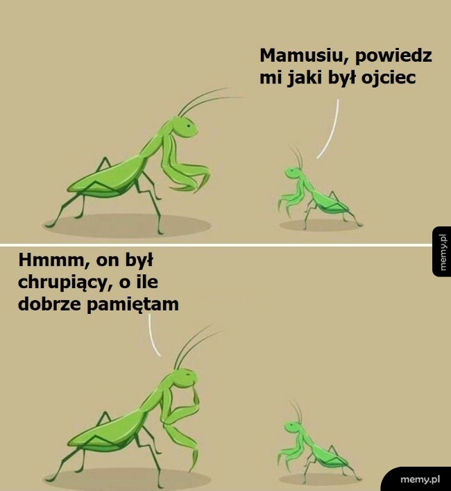 Mama modliszka