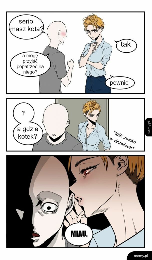 Łowić na kota