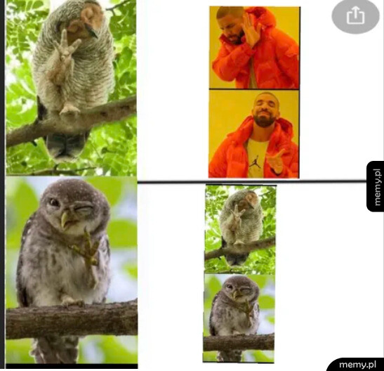 Nowa odsłona mema