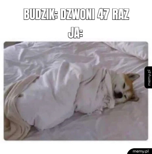 Kiedy wstaje po weekendzie: