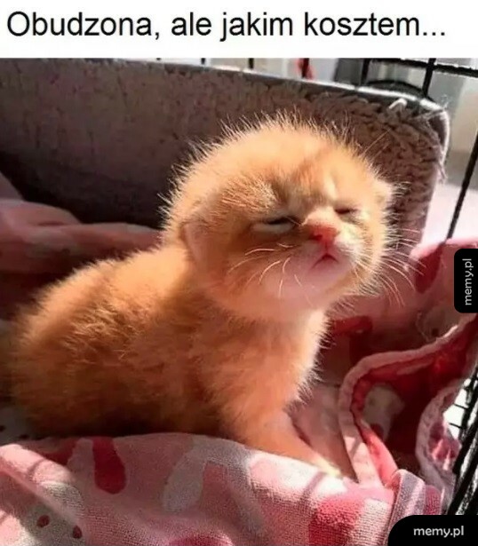 Pobudka