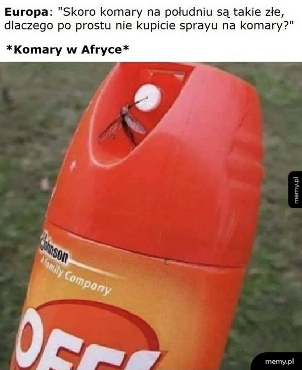 Komary w Afryce