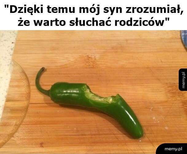 Lekcja życia