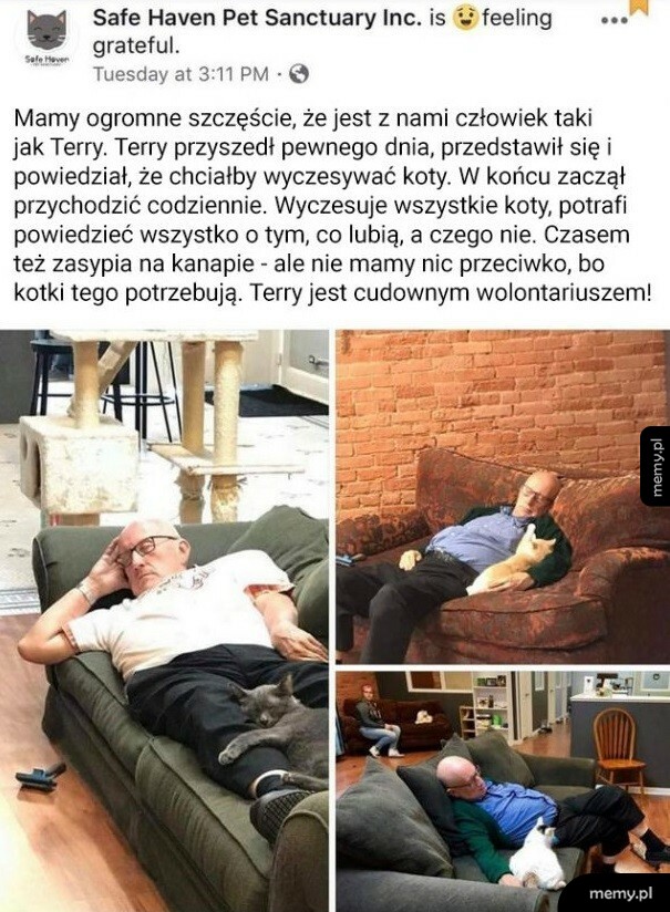 Terry