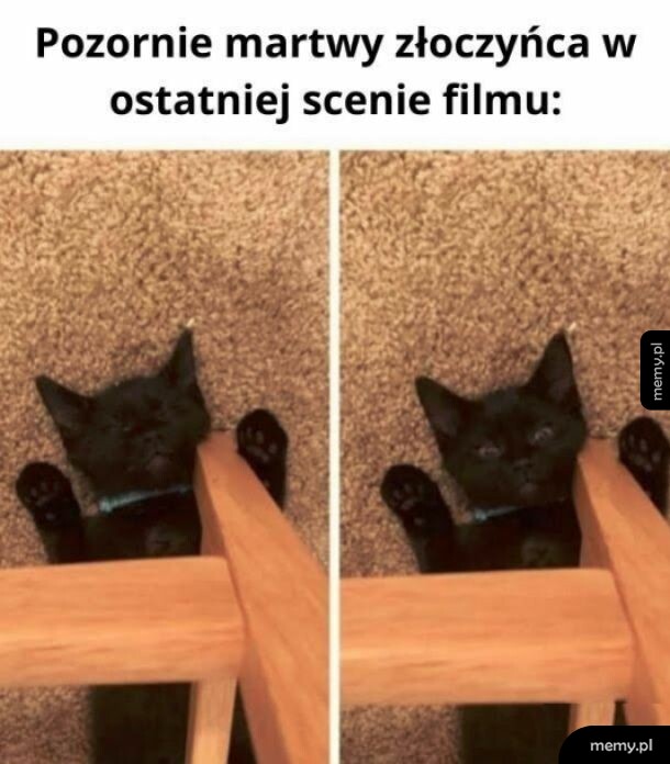 Prawda