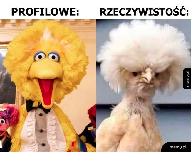Profilowe vs. Rzeczywistość
