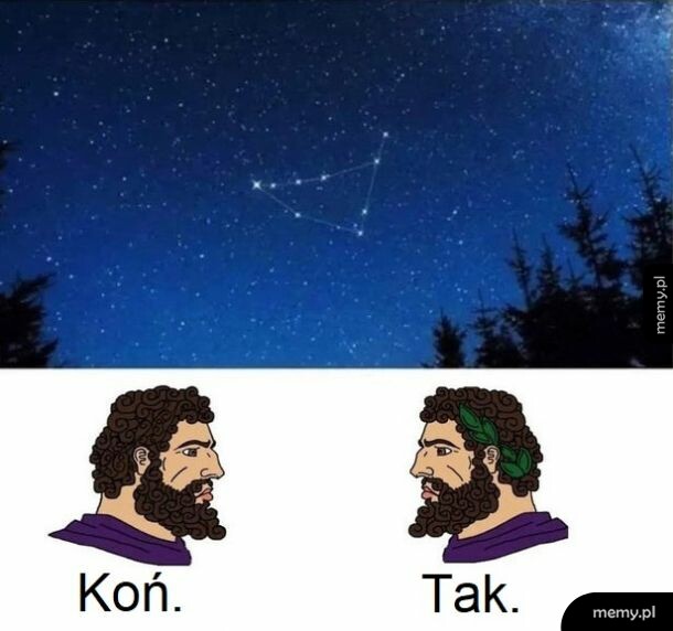 Grecy tak mają po winie