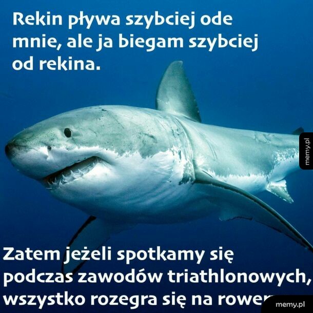 Rozstrzygające