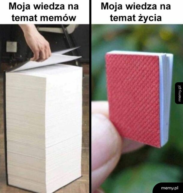 Moja wiedza