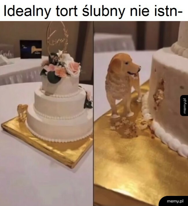 Tort ślubny