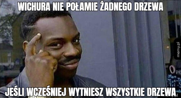 Wichura nie połamie żadnego drzewa Jeśli wcześniej wytniesz wszystkie drzewa
