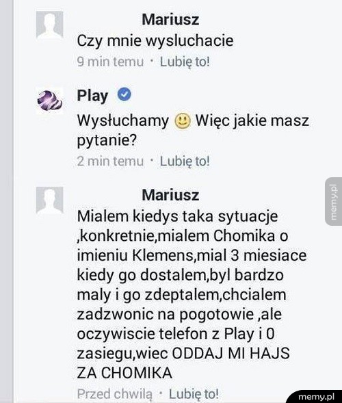 Hajs za chomika