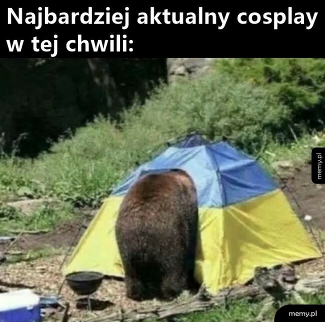 Cosplay
