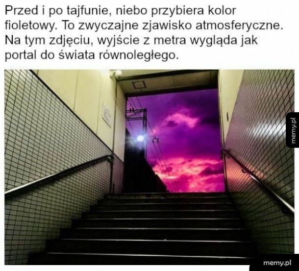 Portal
