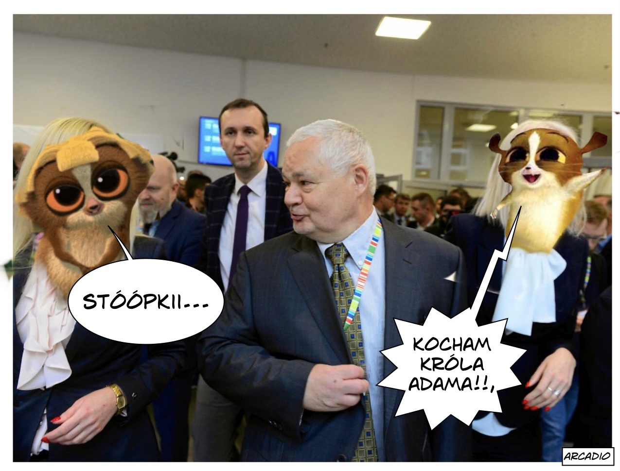Mort kocha stupki
