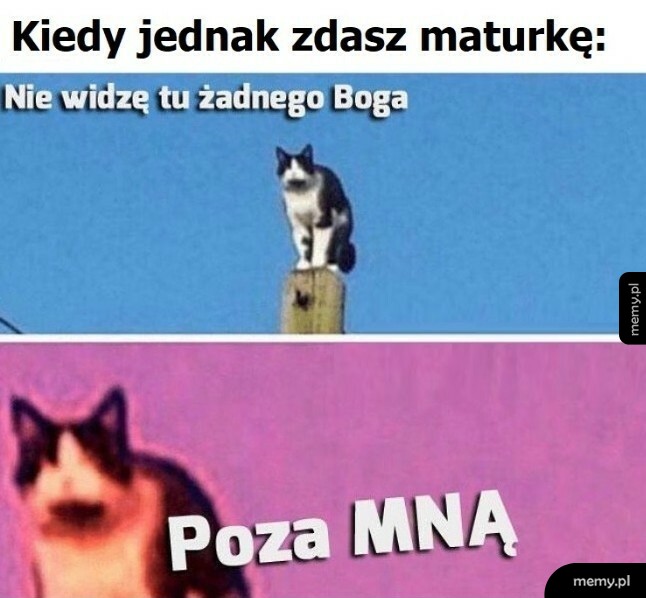 Wyniki matur