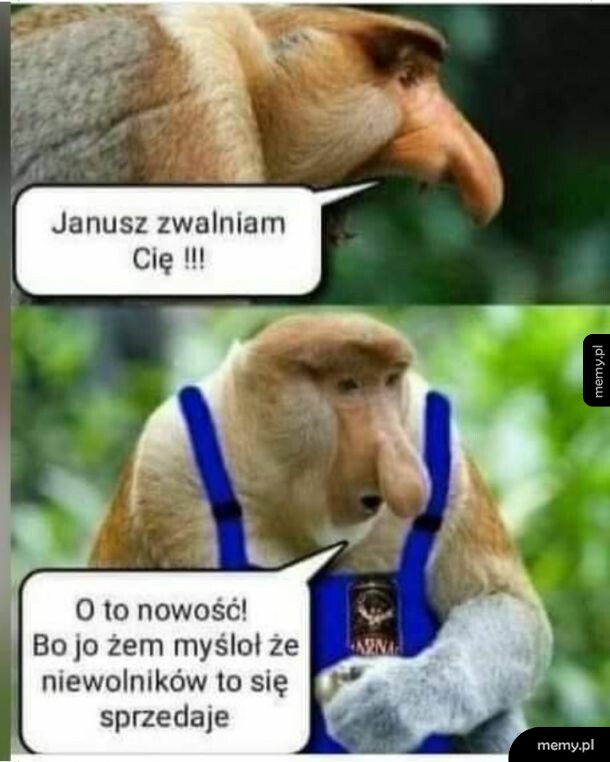 Areczek odchodzi