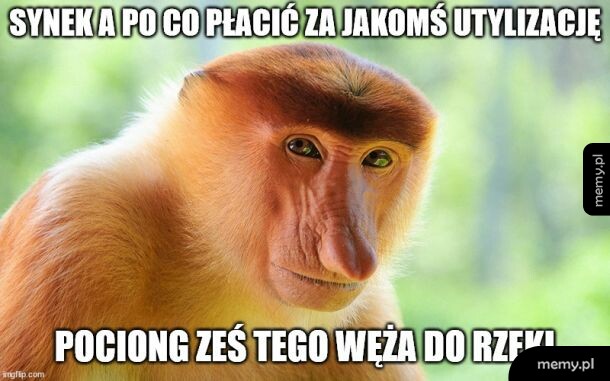 A po co płacić
