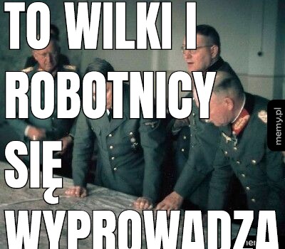 To wilki i robotnicy się wyprowadzą