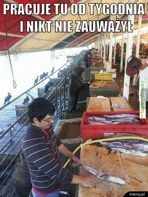 Dzień 7