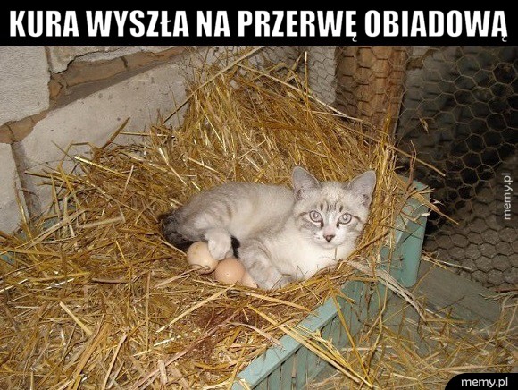Na przerwie