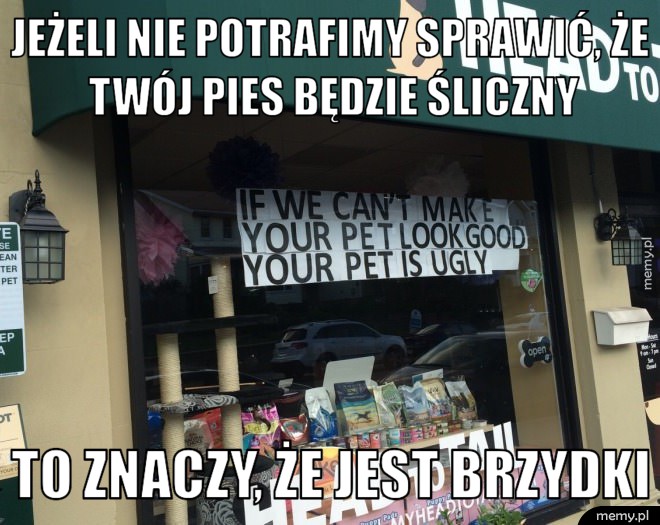 Jeżeli nie potrafimy sprawić, że twój pies będzie śliczny.