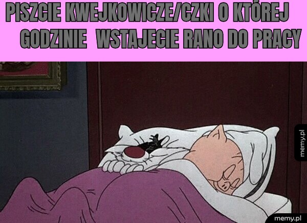 PISZCIE KWEJKOWICZE/CZKI O KTÓREJ   GODZINIE  WSTAJECIE RANO DO PRACY