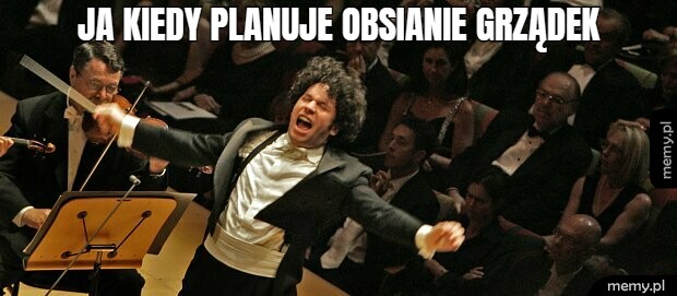 Ja kiedy planuje obsianie grządek