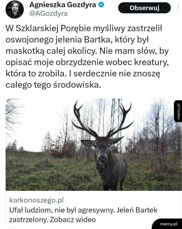 Pewnie wyglądał jak dzik