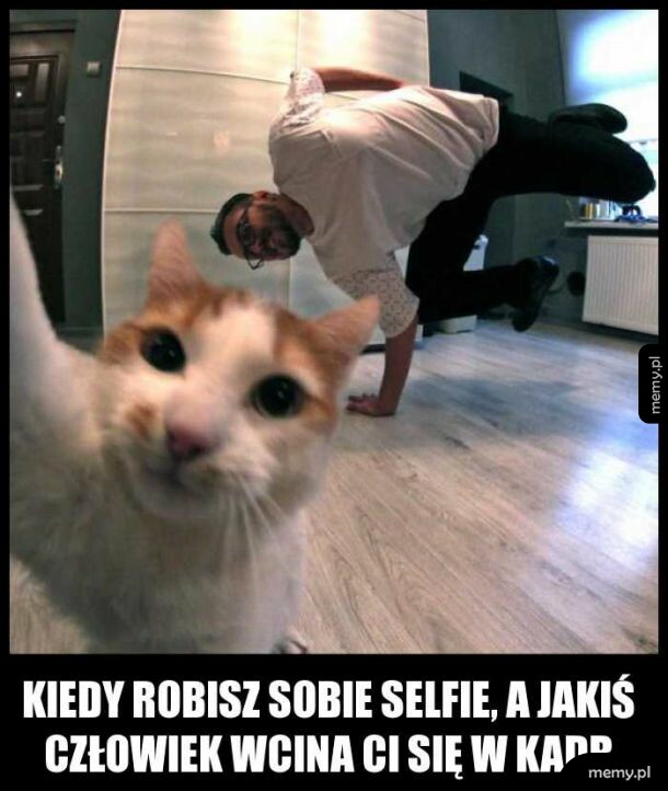 Kot robiący selfie, w tle mężczyzna tańczący breakdance