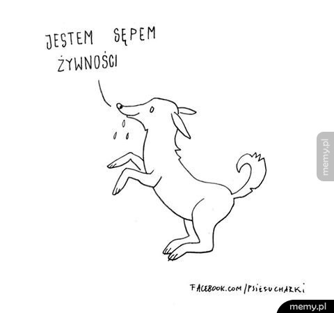 Sęp miłości