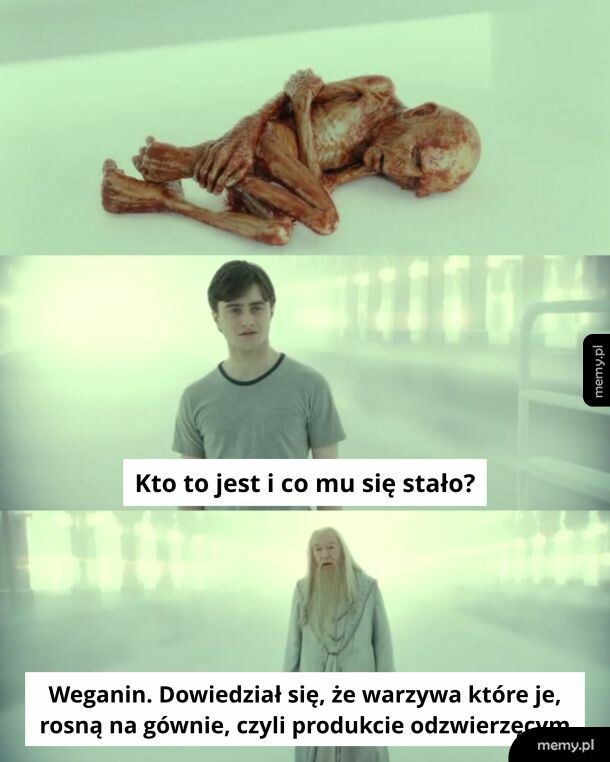 Mem z Harrym Potterem i Dumbledorem patrzącymi na zwiniętą, wychudzoną postać pod posadzką.