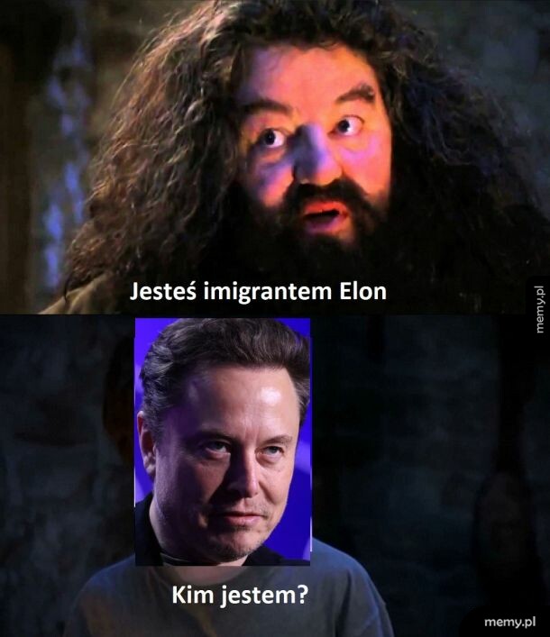 Mem z Hagridem mówiącym do Elona Muska: Jesteś imigrantem Elon