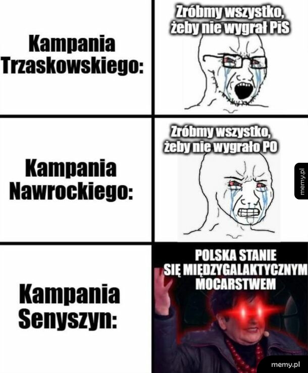 Meme porównujący kampanie Trzaskowskiego, Nawrockiego i Senyszyn za pomocą rysunków i zdjęć.