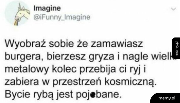 Zrzut ekranu z wpisem na Twitterze o zamawianiu burgera i byciu rybą.
