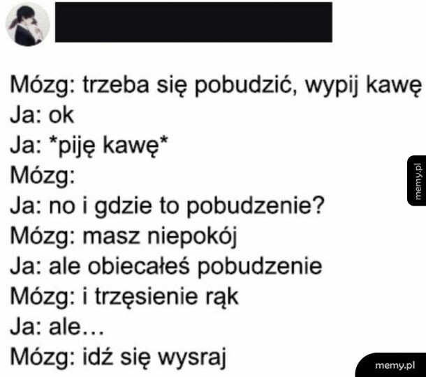Memy o kawie, dialog między mózgiem a mną
