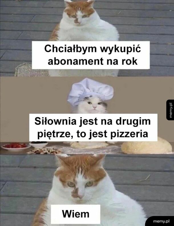 Mąt z grubym kotem zamawiającym abonament w pizzerii zamiast siłowni.
