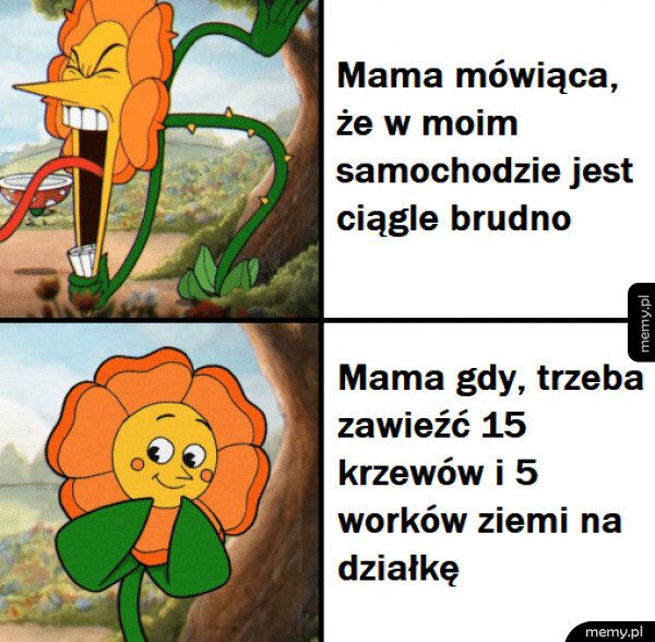 Mem z postacią pomarańczowego kwiatu z gry Cuphead w dwóch stanach emocjonalnych