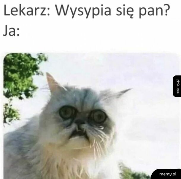 Mem z kotem o wyrazistej, zaskoczonej twarzy i tekstem o spaniu.